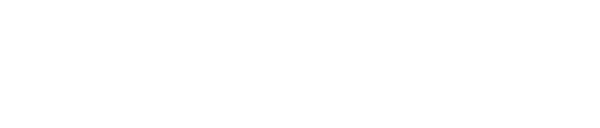 Satisfyer